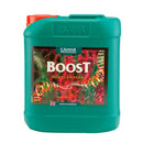 CANNA Boost Accelerator flower stimulator 10L bottle