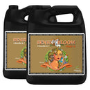 Advanced Nutrients Sensi Coco Bloom A+B Advanced Nutrients