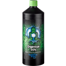 Buddhas Tree Organicus 99%