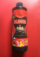 Future Harvest Holland Secret Bloom